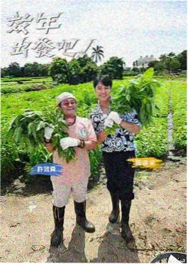 首播影院音乐综艺我们的歌